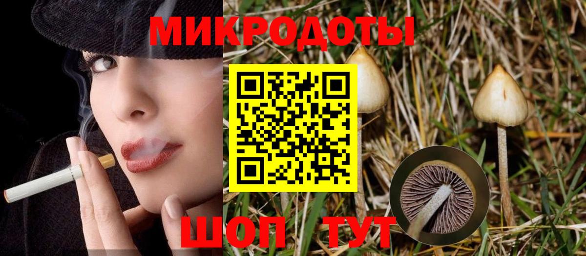 Псилоцибиновые грибы мухоморы  Вход с VPN  Псилоцибиновые грибы прущие грибы  Скопин 